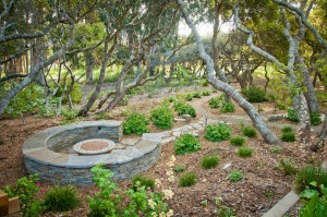 Sage Ecological Landscapes & Nursery / Photography : Grant Sukchindasathien